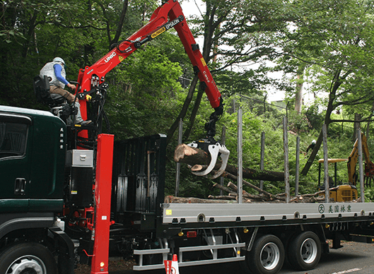 特殊伐採 – OGASAWARA_FORESTRY オガサワラ林業